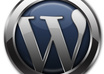 teach you how to use wordpress and fix issues