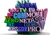 let you know the secret of Buying and Selling Domain Names For Big Cash Profits