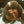 buzz628