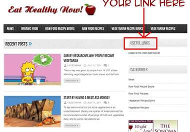place your website address and anchor text on every page of my health food blog big1