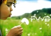add your Website or Link to my Health DIRECTORY for Backlink on a PR2 Blog small1