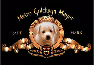 replace the MGM lion with your pet or whoever you want big1