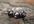make a sterling silver silver and purple faceted cut Pearl ring