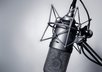 record up to 30 seconds of good quality voiceover