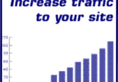 direct minimum 5000 high quality, unique visitors to your website big1