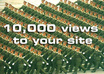 give you 10000 views to your site