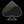 thespade