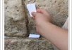 write your wish on a note in the Western Wall in Jerusalem