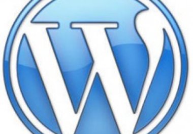 install Wordpress on your domain PLUS plugins big1