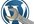help you with your wordpress site