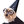 marketingwizard
