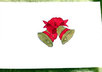 write you a heartfelt greeting card poem small1