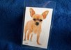 mail you 2 Fawn Chihuahua dog luggage tags