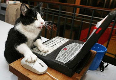 ping your website or blog to over 70 services big1