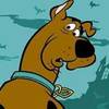 sherno