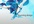 make an amazing HD 1080p video advertisement promoting your business in 24 hours or less