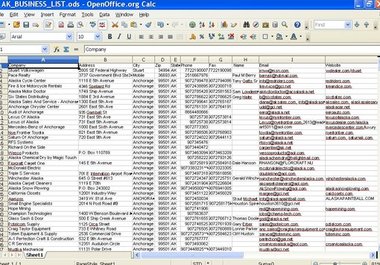 send you a list of 5,000 Alaskan and 587 Florida  businesses with emails and websites big1