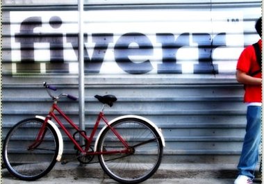 make a mural of your picture, logo, website url, on any wall, texture big1