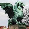 webdragon11