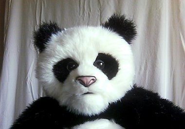 have my puppet record a custom message big1