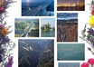 create attractive photo collage from your images just