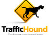 design a professional logo for you just