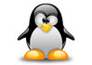 fix any problems related to Linux