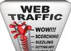 send 1000 human traffic to your website