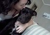 answer up to 5 dog related questions