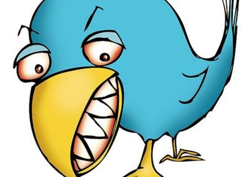 promote your link to my 30,000 followers on Twitter big1