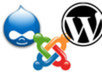 install Drupal or Wordpress or Joomla
