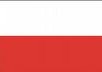 translate polish to English up to 500 words