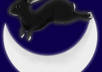 give you a professional psychic reading, answering 3 QUESTIONS