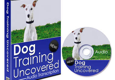 give you a great Dog Training audio book + full trascription big1