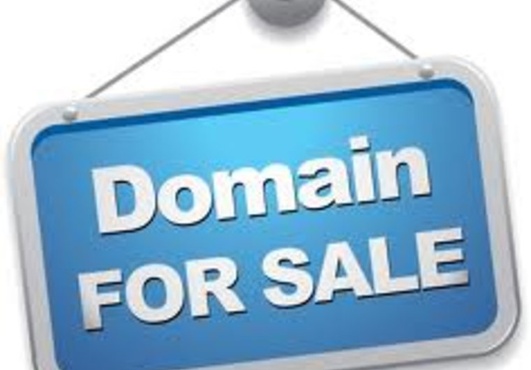 show you how to use a $250,000 Domain Portfolio to Flip Domains and Keep 100% profit without you ever having to buy any domain big1