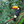 flightcrupro