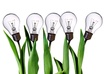come up with ideas for a contest for your product, band, website, or company