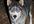 send you a funny video of me turning into a werewolf