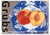 design a double sided post card small1