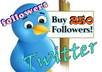 give you 250 plus twitter followers to your account