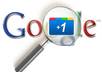 get your website 20 marks on GOOGLEs +1 button small1