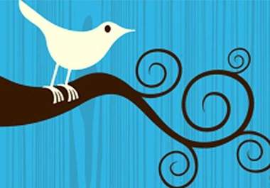 help you to add 20,000+ twitter followers to your account big1