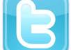 give you 250 plus twitter followers to your account