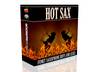 send you a pack of original saxophone samples