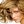 ladygagadesign