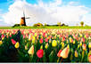 watercolor any picture you want small1