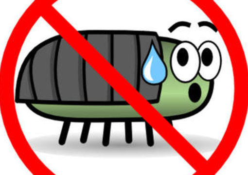 fix your wordpress coding problems big1