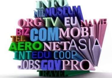 give you domains of your chioce big1