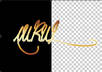 design a stylish personal SIGNATURE logo in any format