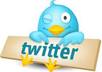 create a custom twitter account with real followers promote your website, blog, products or whatever you want as many times as you want